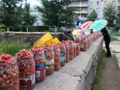 Зэрлэг гүзээлзгэнээс ийм халдвар авах эрсдэлтэй юм байна шүү