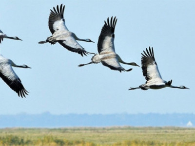 Хүйтний хөндийн доройтол Хурхад бүү давтагдаасай-2