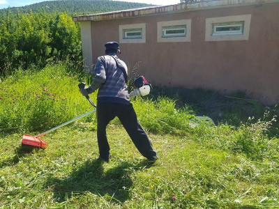 Зуслангийн иргэд хашааныхаа өвсийг үнэ төлбөргүй хадуулж болно