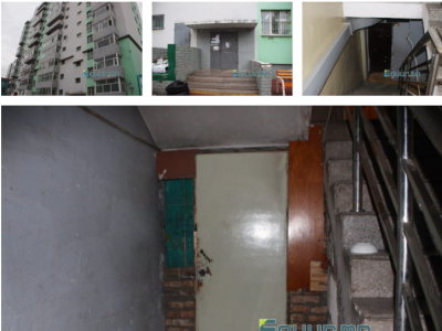 СУРВАЛЖИЛГА: Орцны подвалоос олдсон гурван сартай хүүг түр хамгаалах байранд авчээ 