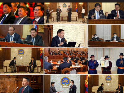 Шүүхийн хууль: Барын амнаас арслангийн аманд оров уу?