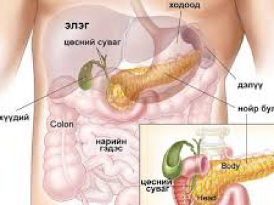 Нойр булчирхайгаар бүгд өвдөцгөөж байна