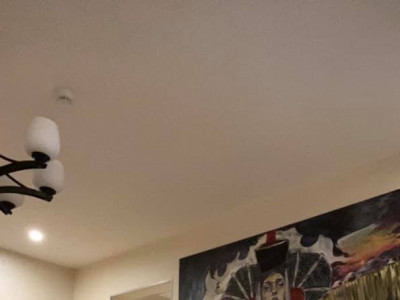 Б.Цэцэг: Халдвар авсан уран бүтээлчдийнхээ өмнөөс УУЧЛАЛ ХҮСЬЕ