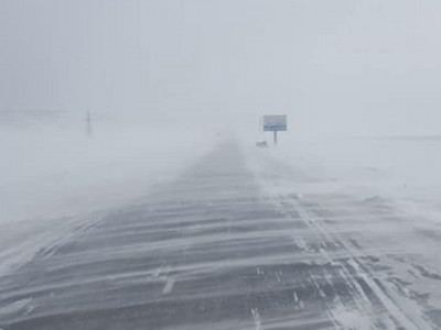 Нойтон цас орж, цасан шуурга шуурна