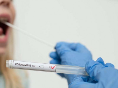 Монгол эрдэмтдийн бүтээсэн шүлснээс коронавирус илрүүлэх оношлуур ирэх долоо хоногт нээлтээ хийнэ