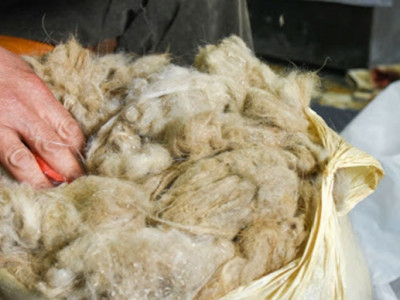 Монголчууд ноолуураа хэзээ өөрсдөө бэлтгэдэг болох вэ? 