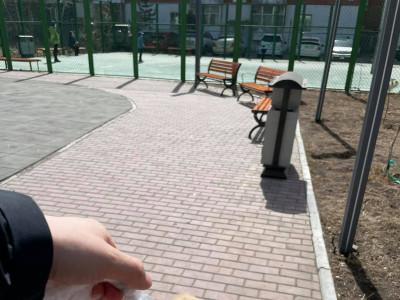 Идэрээ нохойтой хүн болгоныг баасыг нь уутлаад хаядаг болгоё хэмээн уриалав