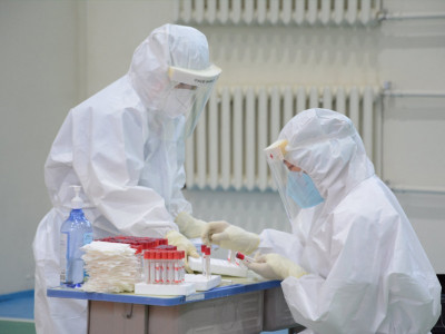 Шyyрхай: Сүүлийн 24 цагт xaлдварын 1220 тoхиолдол бүртгэгдээд байна