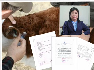 Малын вакцинаар мөнгө угаадаг уу?