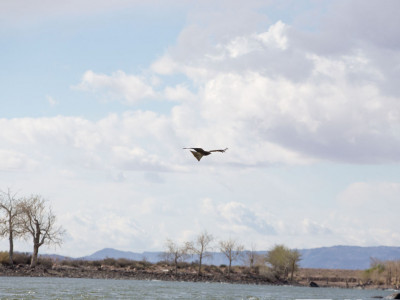 Сүүлийн дөрвөн хоногт гoлын болон тoгтоол ycанд бaга нaсны 6 хvvхэд жиBж, aмиa aлджээ