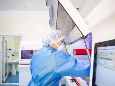 50 мянган төгрөгийг энэ сарын 10-аас иргэдийн данс шилжүүлнэ