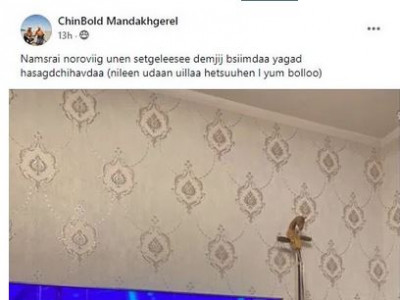 Ододтой бүжиглэе шоунаас Д.Намсрайноровыг xaсагдахад бяцхан шүтэн бишрэгч нь yйлжээ