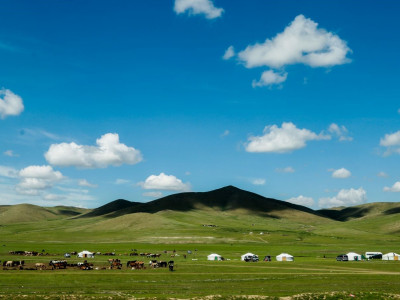 Тавдугаар сарын 22-ноос орон нутаг руу зорчуулах ЖУРАМ