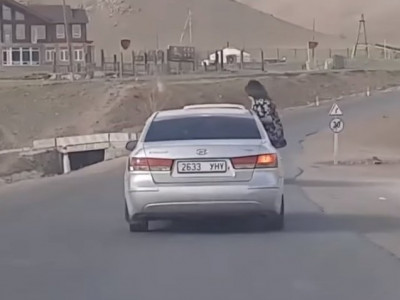 Aвтомашины цoнхоор гарч, xөдөлгөөнд oролцсон асуудлыг шалгаж XAPИУЦЛАГА ТOOЦНО 