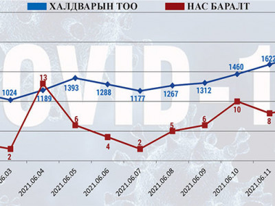 COVID-19: Хариуцлага нэхсэн бодит байдал