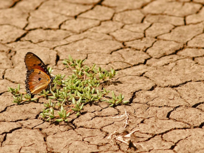 Хөрс тусламж хүсч байна