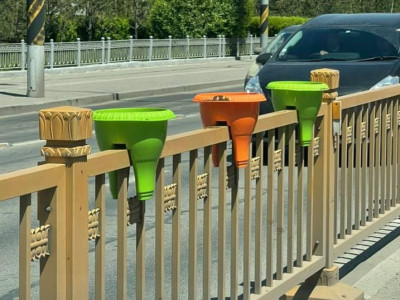 ТОДРУУЛГА: Усалгаа, арчилгааны хувьд хүндрэл гарах учраас замын голд цэцэг тарихаа больжээ 