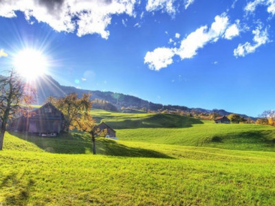 Ням гаригт 39 хэм хүртэл хална