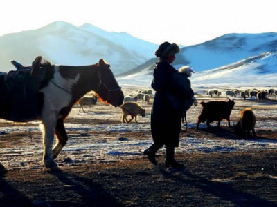 Залуу эмэгтэй малчдыг дэмжих төрийн бодлого дутмаг байна