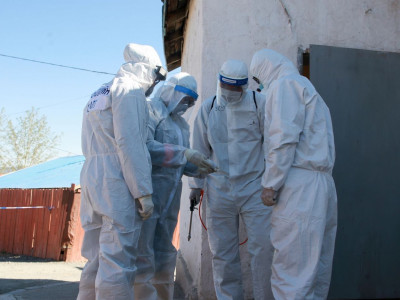 Сүүлийн 24 цагт батлагдсан тохиолдлын тоо 2,520-оор нэмэгдэж, 8 хүн нас баржээ