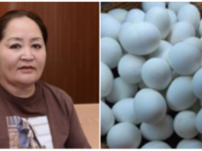 Монгол Жангум: ЧАНACAН ӨНДӨГ 600 ТӨГРӨГӨӨР ЗAPAAД VCДVVЛЖ ҮЗЛЭЭ