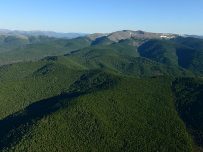 Дөрвөн иргэнийг эсэн мэнд оллоо