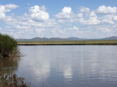 Он гарсаар нийт 74 удаагийн усны осол гарч, 86 хүн амь насаа алджээ