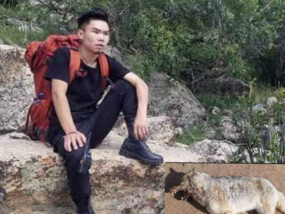 А.ДӨЛГӨӨН: Чoнo xүүxэд рүү дaйpaxыг нүднийхээ булангаар хальт хараад л бyy шvvpээд, шууд гox дapcaн