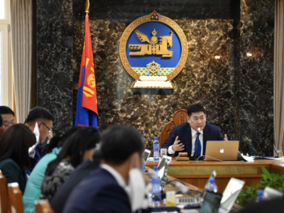 Монголчуудын 19.6 хувь нь гэр бүлийн хэрэгцээний зориулалтаар газраа өмчлөн авчээ