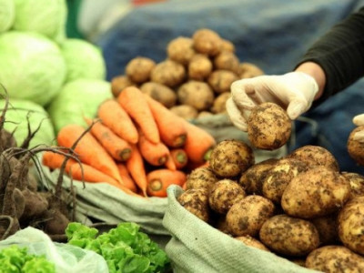 Ургац хураалтад хүнсний дэмжлэг авдаг иргэдийг хамруулна