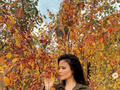 ГУРВАН ОХИН-ы Сологийн НАМРЫН МОДА