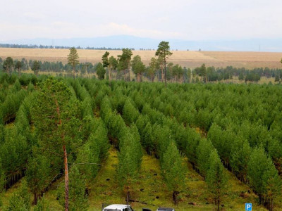 Ерөнхийлөгчийн “Их амь бат оршоох” санаачилгын тухайд
