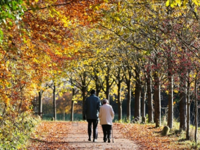 Ахмадуудад “хаягласан” 26 тэрбум төгрөг хаачдаг вэ? 