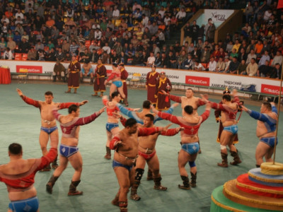 Ц.Магалжав: Үндэсний бөхөд чөлөөт бөх, жудотой адилхан оноолт, оноо олгоно