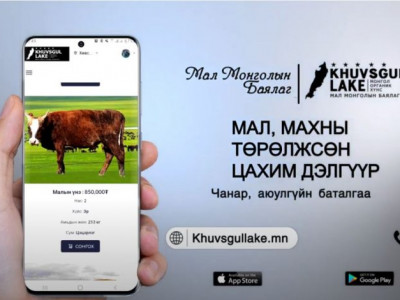 Мал, махны төрөлжсөн цахим дэлгүүр хамгийн хялбар найдвартай үйлчилгээг үзүүлж байна