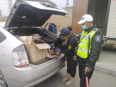 Тарваганы тулам тээвэрлэж, худалдахыг завдсан иргэдийг 12 сая төгрөгөөр торгожээ 