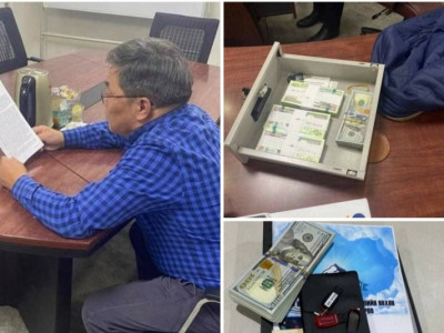 Д.Хаянхярвааг албадан саатуулжээ