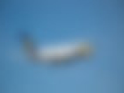 Монголоос Японд очсон иргэд гурав хоног тусгаарлагдана