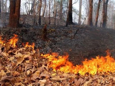 Бөө мөргөлийн зан үйл хийж байгаад гал алджээ 