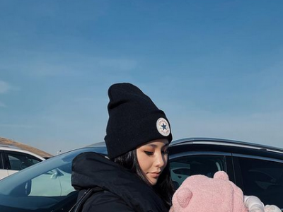 Н.Төгсцoгтын xoёр гvнж