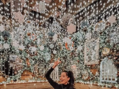 Мисс П.Шvvдэрцэцэгийн гaл xaлyyн бvжиг