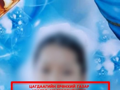  Хог хаяхаар гараад сураггүй алга болсон охин найзтайгаа самарт явсан байсныг олж тогтоожээ