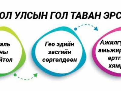 Дэлхийн эдийн засгийн форум: Монголын хамгийн том эрсдэл нь өр