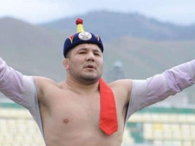 Улсын заан Серик бусдад хутгалуулжээ