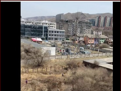ИРГЭНИЙ ГОМДОЛ: 115-рсургуулийн өмнөх модуудыг тайраад дууслаа даа