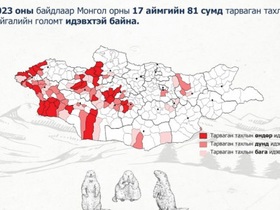 Улаанбаатар хотод тарваган тахал өвчний тохиолдол бүртгэгдлээ