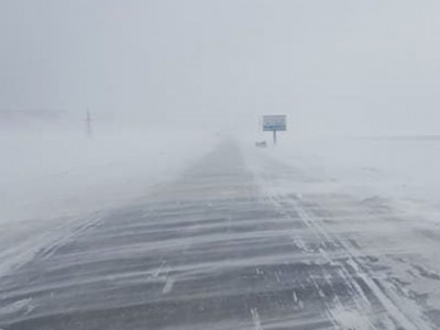 Баруун болон хойд нутгаар цасан шуургатай