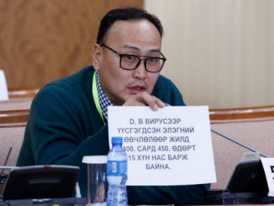 Сонсгол: Гаж нөлөөтэй тариаг яагаад иргэддээ шахдаг, уналт таталтын эсрэг эм төр хариуцах эмийн жагсаалтад орсон байдаг ч хөнгөлөлт эдэлж байгаагүй