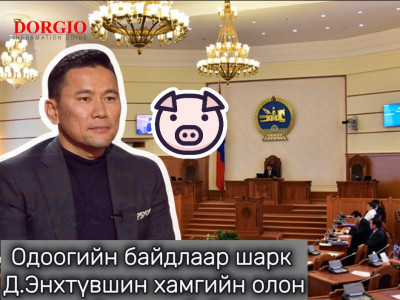 Одоогийн байдлаар шарк Д.Энхтүвшин хамгийн олон гахай аваад байгаа…