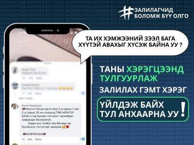 Иргэд их хэмжээний зээл олгоно гэсэн зарын дагуу холбогдож, залилуулж байна 